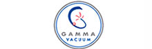 Gamma Vacuum 離子泵